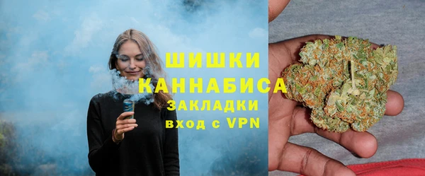 прущие крисы Бородино