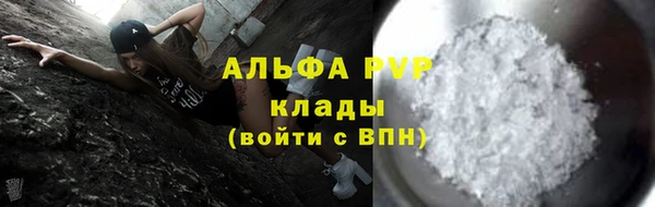прущие крисы Бородино
