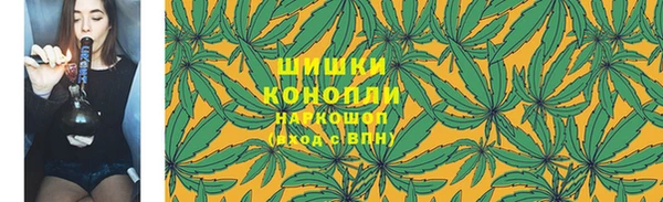 прущие крисы Бородино