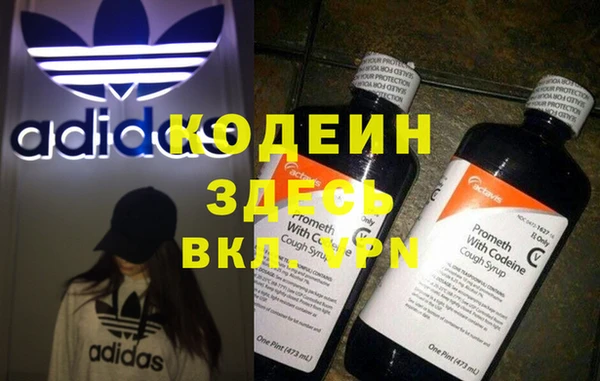 прущие крисы Бородино