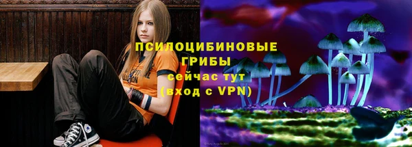 круглые Богданович