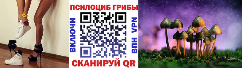 Галлюциногенные грибы Cubensis  МЕГА зеркало  Тотьма  наркота 